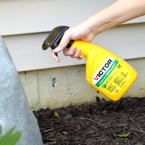 Vista 11 de Victor M809 - Aerosol repelente de ratones y ratas, natural, no tóxico, repelente de roedores para uso en interiores y exteriores, listo para usar