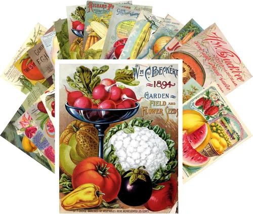 Vista 15 de PIXILUV Johann - Postales vintage (24 unidades), diseño de flores salvajes, jardín, aun vida, arte de pintura de museo antiguo, reimpresión