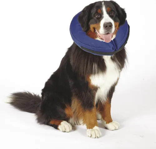 Vista 2 de Collares inflables para perros, collares aprobados por veterinarios diseñados para evitar que las mascotas se rayen y muerdan en lesiones, puntadas