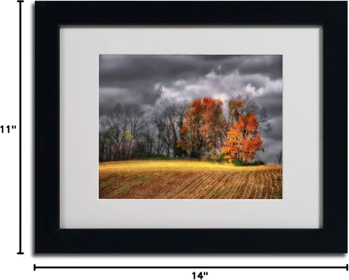 Vista 6 de Trademark Fine Art Lois Bryan - Lienzo enmarcado con marco negro, 11 x 14 pulgadas