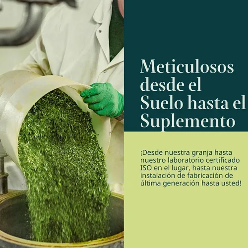 Vista 8 de Gaia Herbs Raíz de Ashwagandha - Suplemento para aliviar el estrés y apoyar el sueño - Apoya niveles de energía equilibrados y perspectiva positiva*