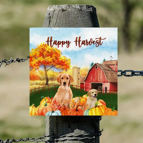 Vista 5 de Happy Harvest Frenchton Dog Barn Wood Sign Retro Fall Sweet Fall Wall Plaque Pumpkin Patch Wood Panels Home Wall Decoration for Home Kitchen Living