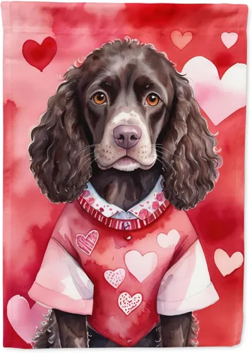 Vista 184 de Caroline's Treasures DAC5252GF Affenpinscher - Bandera de jardín con texto en inglés "My Valentine", bandera decorativa para patio exterior, patio