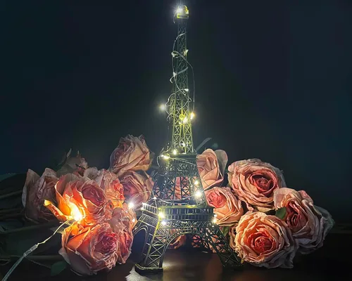 Vista 7 de DS. DISTINCTIVE STYLE Modelo de la Torre Eiffel Estatua Metálica de la Torre Eiffel Figura de Recuerdo, Bronce (15 cm)