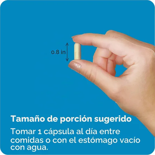 Vista 7 de Cápsulas Vitamin Bounty, probióticos diarios, 13 cepas de probióticos de liberación tardía