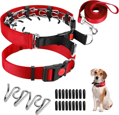Vista 32 de Collar de entrenamiento de puntas con puntas cómodas y hebilla de cierre rápido – Collar de pellizco para perro con cubierta de nailon