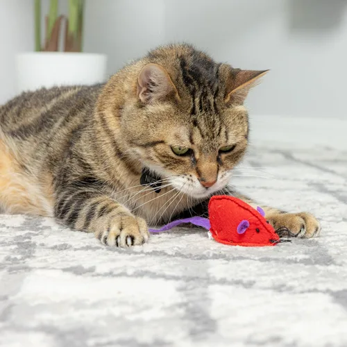 Vista 2 de SPOT Juguete de fieltro con hierba gatera de ratones Suave y colorido juguete interactivo para gatos de interior Incluye hierba gatera Paquete