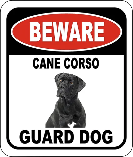 Vista 156 de BEWARE BASSETT HOUND GUARD DOG - Letrero compuesto de aluminio para exteriores, 8.5 x 10 pulgadas CUIDADO BASSETT HOUND GUARD PERRO