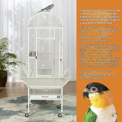 Vista 5 de Prevue Pet Products 34512 Dometop - Jaula para pájaros, pequeña, color blanco tiza Powder‑Coated Steel Cage with Wheels, Seed Guards, and Perch