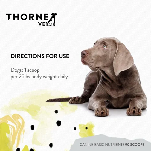 Vista 6 de ThorneVet Canine Basic Nutrients Powder - Soporte multivitamínico para perros, 90 cucharadas