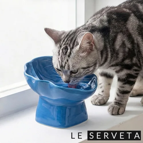 Vista 6 de Cuenco de cerámica inclinado elevado para mascotas Azul