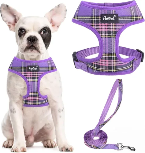 Vista 91 de PUPTECK Juego de arnés y correa de malla suave para perro, cachorro y gato, cómodo chaleco acolchado sin tirones, azul Pascua, S