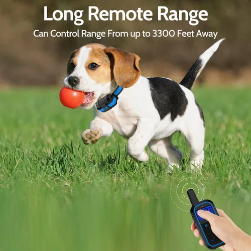 Vista 4 de Collar eléctrico de entrenamiento para perros con 4 modos de entrenamiento y control remoto recargable, rango impermeable de 3300 pies para perros