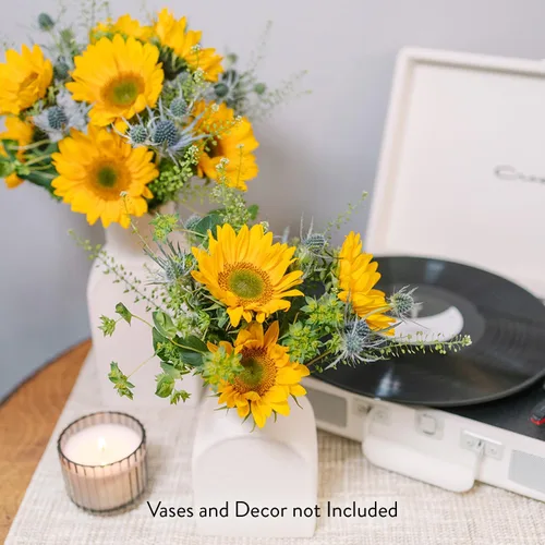 Vista 6 de Floral Compass by Nature's Flowers - Mini ramo de girasol mixto - Elegible para Prime, 20 flores frescas cortadas y follaje para entrega