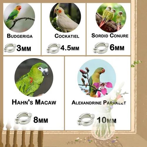 Vista 5 de Correa de pájaro, arnés de loro antimordeduras, cuerda retráctil para pájaros voladores con 3 piezas de diferentes tamaños de anillos para pies