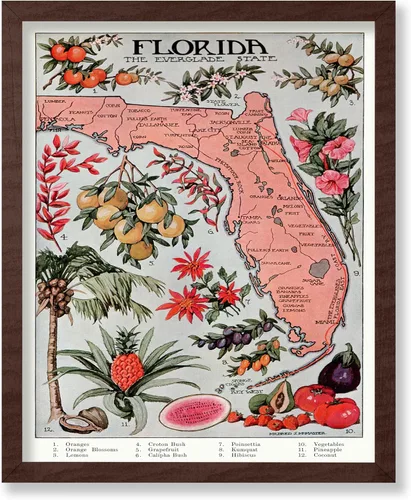 Vista 45 de Monem Art Mapa Monumental Vintage de Florencia Impresión - Póster de Viaje Retro - Arte de Italia - Gran Regalo para Hombres, Mujeres, Amantes