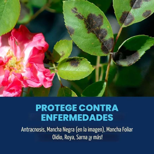 Vista 3 de Bayer Advanced 701290 insecticida para enfermedad de insectos 3-en-1 y control de ácaros listo para usar, 24 onzas