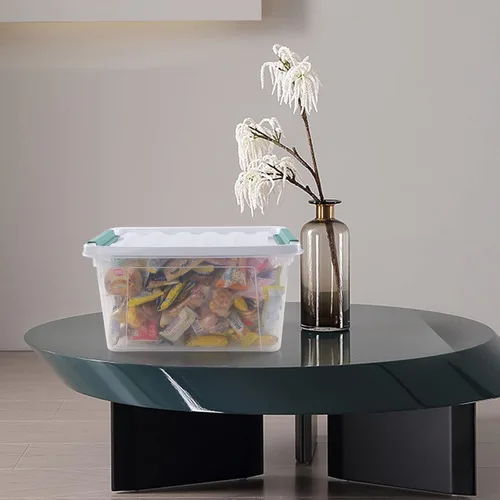 Vista 4 de Paquete de 4 cajas transparentes de 20 cuartos de galón con tapas, bolsas de almacenamiento de plástico