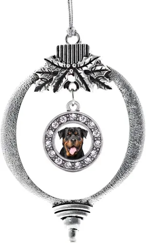 Vista 125 de Inspired Silver - Adorno con dije de cara de carlino - Adornos navideños de círculo de plata con joyas de circonita cúbica