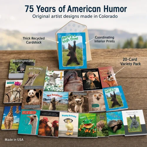 Vista 5 de Leanin' Tree Wildly Funny - Made In USA - 20 Tarjetas Surtidas con Sobres para Todas las Ocasiones, Tarjetas de Cumpleaños Suficientemente