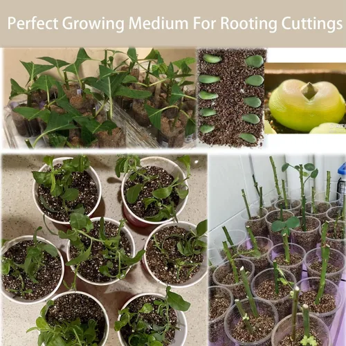 Vista 5 de Vermiculita gruesa natural de 10 cuartos para plantas, mezcla mineral orgánica para macetas, hidroponía, terrarios, orquídeas, hongos o hábitats