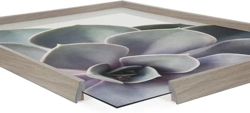 Vista 7 de Kate and Laurel Blake Succulent - Arte de pared de vidrio impreso con 5 marcos por Emiko y Mark Franzen de F2Images, 18 x 24 pulgadas, color gris