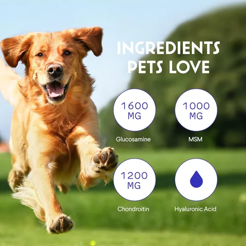 Vista 5 de WONDER PAWS Glucosamina líquida prémium para perros, apoyo articular de fuerza, flexibilidad, cartílago y movilidad, suplemento de cadera