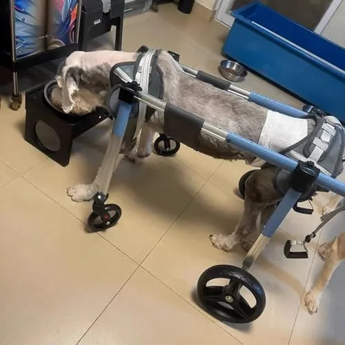 Vista 8 de Silla de ruedas para perros de 4 ruedas para mascotas lesionadas, soporte completo para patas para perros pequeños a grandes, cómoda ayuda