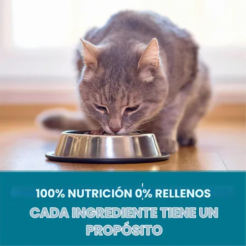 Vista 8 de Purina ONE Alimento seco natural para gatos, Tender Selects mezcla con salmón real, bolsa de 3.5 libras
