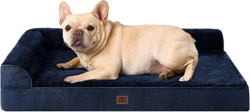 Vista 44 de EHEYCIGA - Cama ortopédica para perros de tamaño mediano, cama de espuma viscoelástica para perros, color beige Small Dog Sofa with Washable