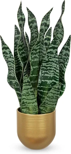 Vista 13 de Hollyone Planta de serpiente falsa de 12 pulgadas, pequeña planta de serpiente artificial en maceta con maceta de cerámica, planta Sansevieria