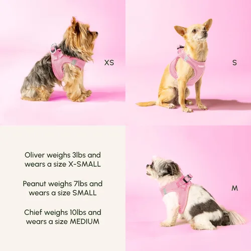 Vista 122 de Downtown Pet Supply Arnés para perro Step-in – Sin tirones, malla acolchada ajustable con ribete reflectante, correa de hebilla segura – Arnés