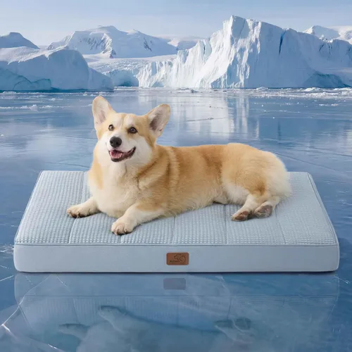 Vista 11 de Bedsure - Cama ortopédica pequeña para perros chicos, impermeable, con funda extraíble lavable, tapete de espuma con forma de huevera para mascotas