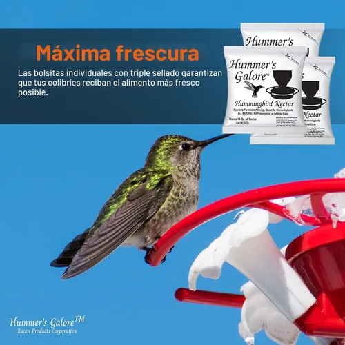 Vista 6 de Hummer's Galore Alimento para colibríes, néctar de colibrí listo para mezclar, fórmula colectora de néctar totalmente natural, sin conservantes ni