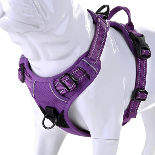Vista 8 de JUXZH Truelove Arnés para perro sin tirones con mango de fácil control y 2 accesorios para correa, chaleco reflectante ajustable para mascotas