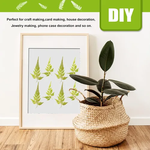 Vista 6 de ALJ Hojas de helecho secas reales, 42 hojas de helechos prensadas amarillas naturales para arte de resina, decoración de adornos de manualidades
