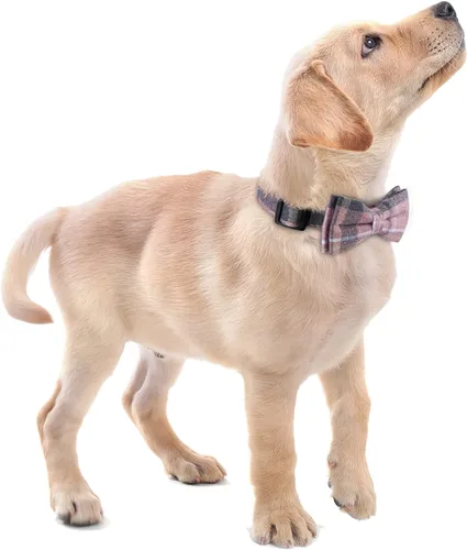 Vista 5 de Faleela - Bonito collar para perra suave y cómodo con lazo, collar con corbatín para perro macho, collar desmontable y ajustable para mascotas
