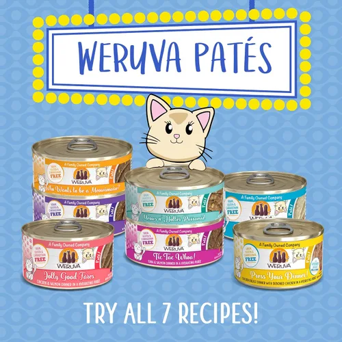 Vista 7 de Weruva Paté clásico para gatos, presiona tu cena con pollo, lata de 5.5 onzas (paquete de 8)