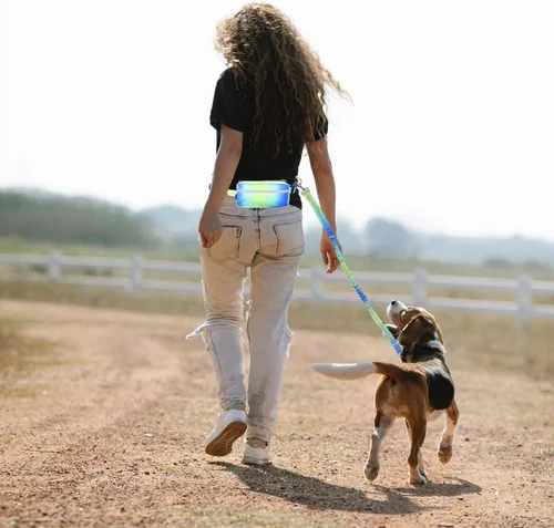 Vista 7 de Correa de perro con cremallera manos libres, correa de cintura elástica de 4 a 6 pies, adecuada para perros medianos a grandes, mango acolchado