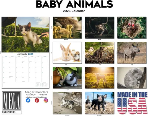 Vista 390 de Calendario de grises africanos 2025 2026 – Planificador mensual de pared de aves africanas – 12 x 18 pulgadas (abierto), calendario de pared