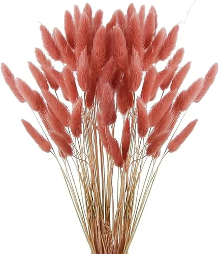 Vista 12 de 60 piezas Flores de Cola de Conejo Secas Hierba Negra de las Pampas Arreglo Floral Natural Seco Flores Secas para Halloween Navidad Decoración Boho