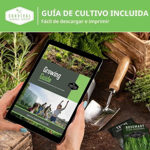 Vista 6 de Semillas de verduras para jardín del hogar, paquete de 30 variedades – Kit de caja de semillas reliquias para plantar verduras, hierbas y frutas