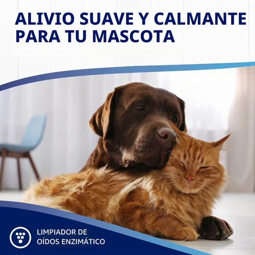 Vista 7 de TropiClean OxyMed - Limpiador enzimático de oídos para perros, recomendado por veterinarios, 4 onzas Limpiador de oídos enzimático