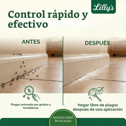 Vista 7 de Tierra de diatomeas de grado alimenticio con aceite de menta para insectos Polvo de control de plagas de interior para chinches, cucarachas