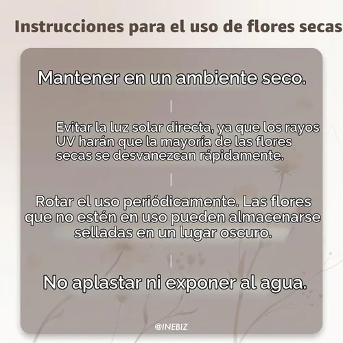 Vista 4 de Clip para salida de aire con jarrón de brotes, mini estación de propagación de plantas, accesorios de decoración de auto boho, regalos para mujeres