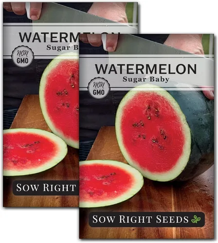 Vista 7 de Sow Right Seeds - Semilla de sandía Sugar Baby para plantar - Paquete de reliquia sin OMG con instrucciones para plantar un huerto casero