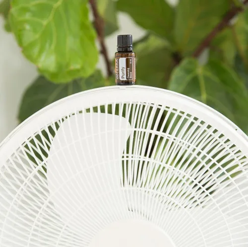Vista 3 de Aceite esencial purificante, mezcla de limpieza de doTerra, 3106, 1