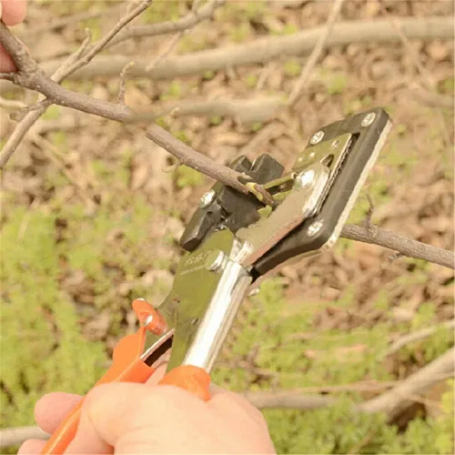 Vista 5 de Fruit Tree Pro Grabado Acero al Carbono Tijera De Poda De Injerto De Corte Herramientas De Jardín