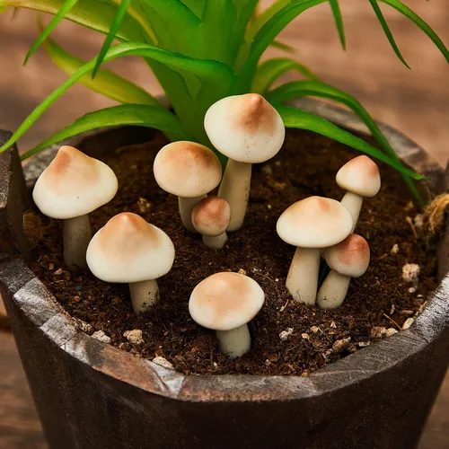 Vista 5 de Taiyin 5 piezas de hongos luminosos en miniatura para jardín al aire libre, hongos resistentes al agua que brillan en la oscuridad, decoración