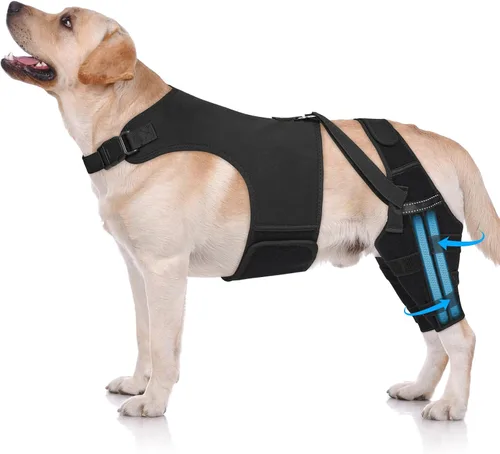Vista 10 de Rodillera de perro para pierna trasera, soporte ajustable para piernas de perro con 4 estabilizadores, soporte de cadera para reducir el dolor